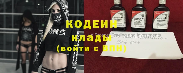 крисы Михайловск