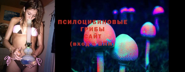 соль ск Волосово
