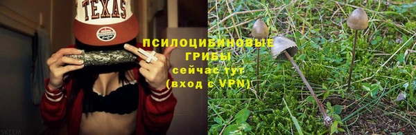 соль ск Волосово